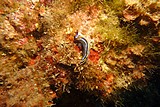 DSC02356.jpg
